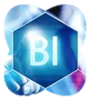 Business Intelligence